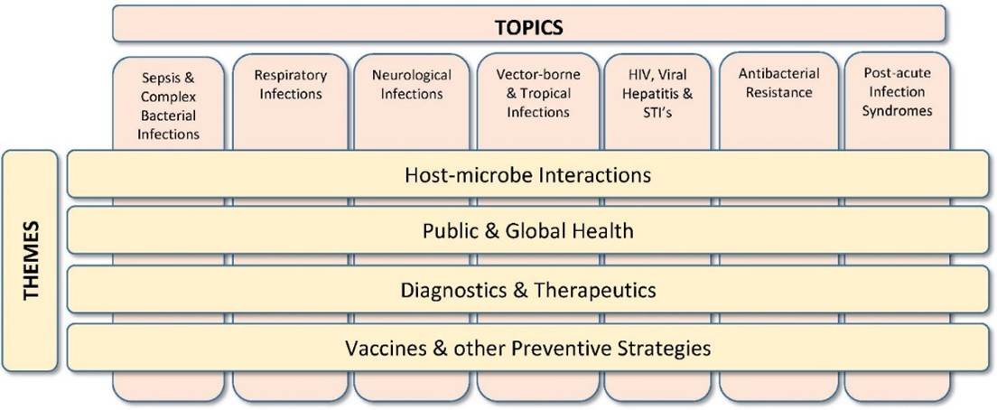 New structure Infectious Diseases program