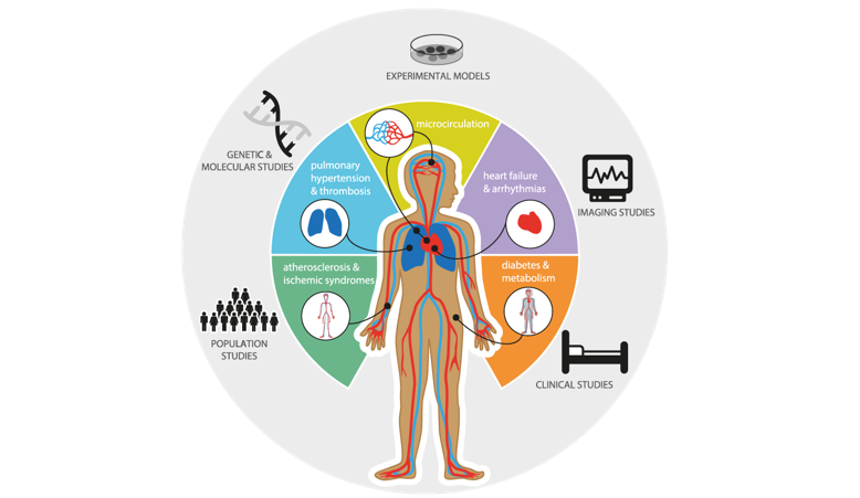 Overview of the Amsterdam Cardiovascular Sciences research programs and modalities.