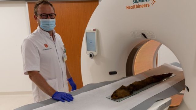 Radiodiagnostisch laborant Nick Lobé met een mummie van een krokodil.