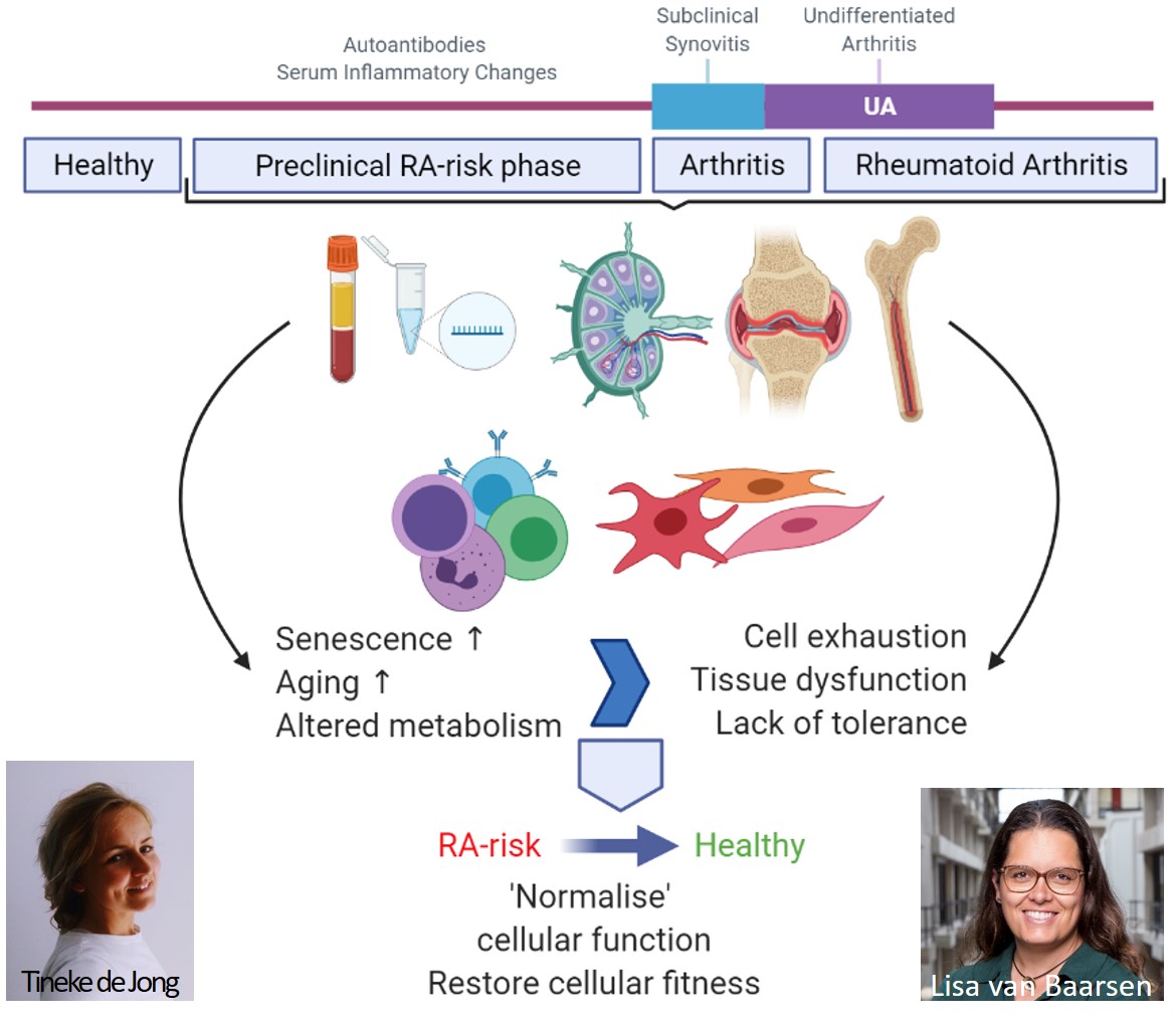 Figure 1. Visual representation of Lisa van Baarsen's research project