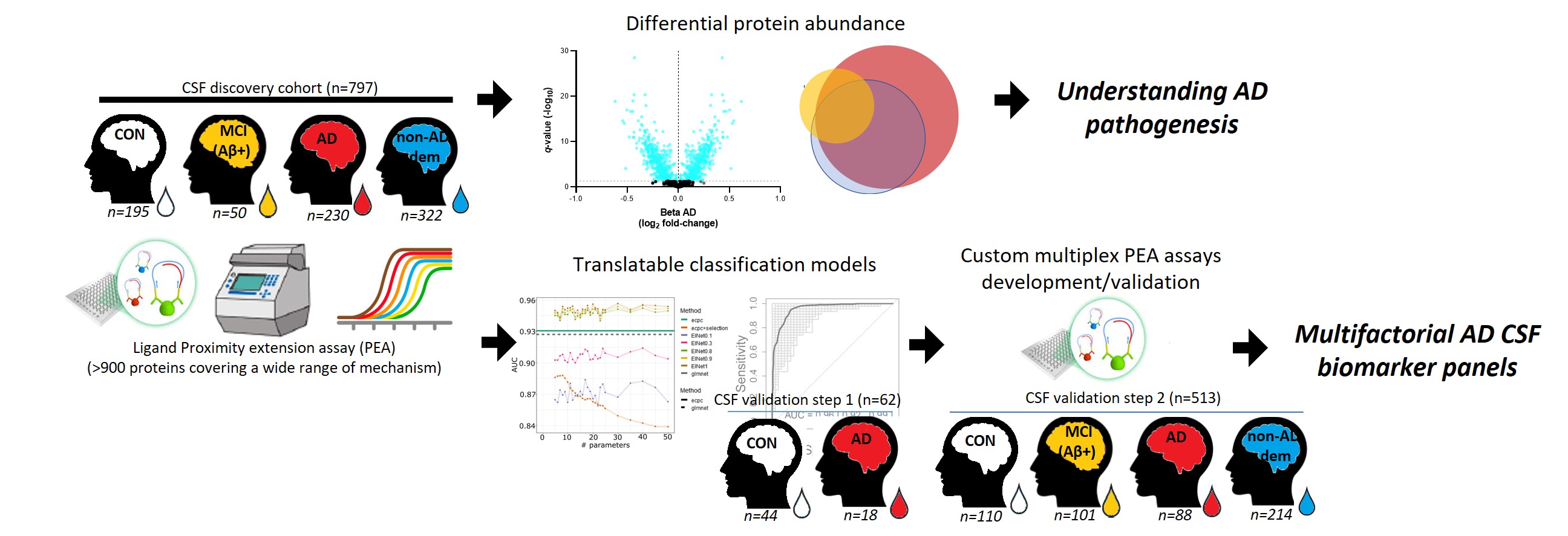 A large set of CSF proteins dysregulated along the AD continuum reflects the multifactorial nature of the disease, some of which were used to build biomarker panels with high diagnostic accuracies.