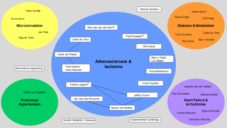 Overview of collaboration within the A&IS Research Program and with other ACS Research Programs. Lines represent ongoing collaboration between A&IS PI's. Asterisks indicate program leaders: Esther Lutgens, Bert-Jan van den Born and Paul Knaapen.