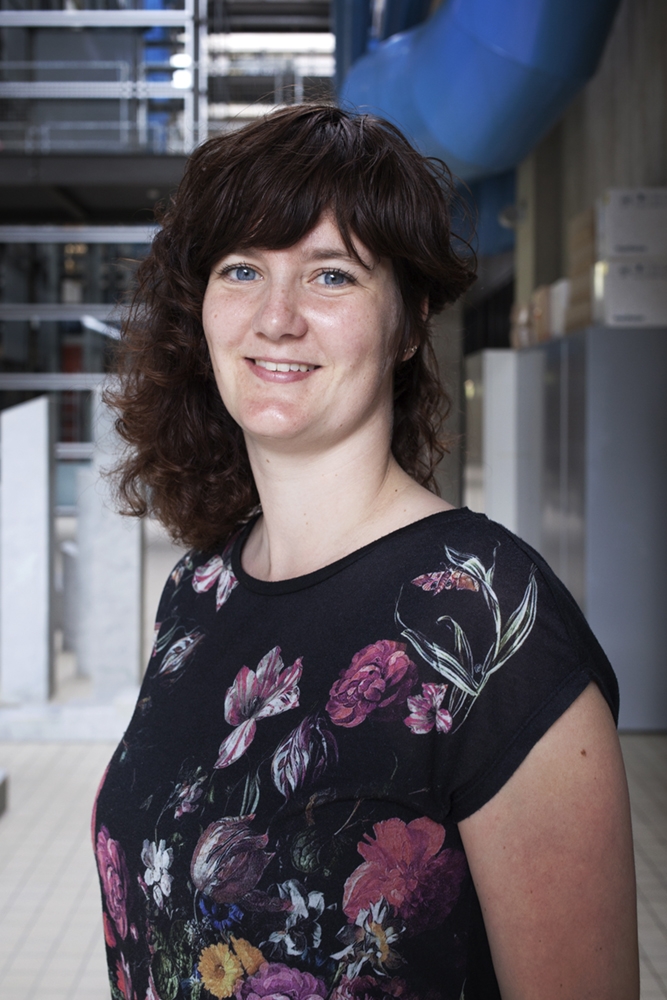 Annemieke van Dam 