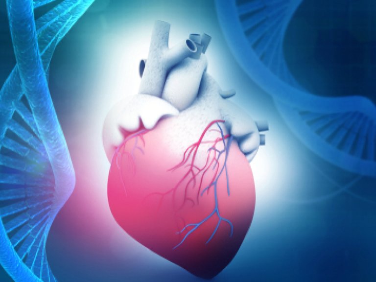 Stap dichter bij voorspellen ernst hartspierziekte