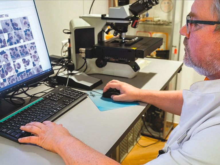 New Bone Marrow Diagnostics: Faster, more objective and reproducible