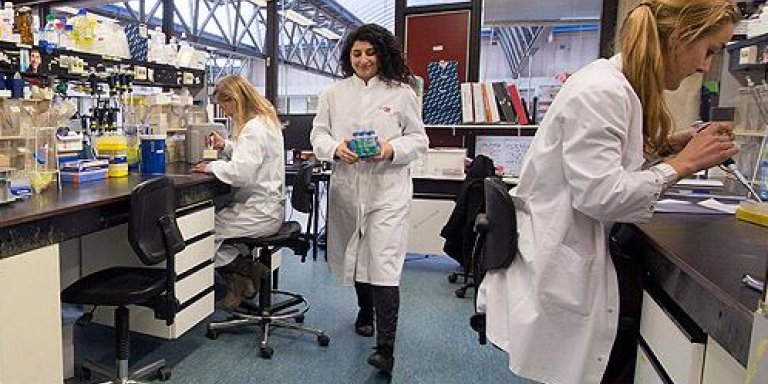 Wetenschapsagenda 5 november - 8 november 2019