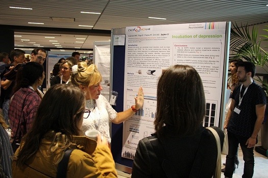 Annual meeting 2019 Poster market