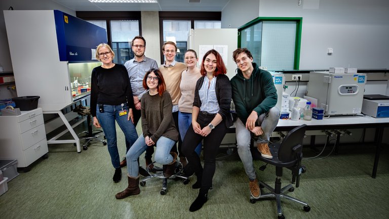 The Vascular Microenvironment and Integrity lab: Annett de Haan, Stephan Huveneers (PI), Ana Angulo Urarte, Reimer Janssen, Beau Neep, Vanessa Meyn, Aukie Hooglugt