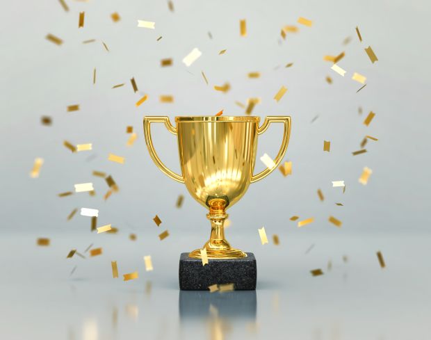 Winners 'MSH' Grant Writing Call 2025 announced