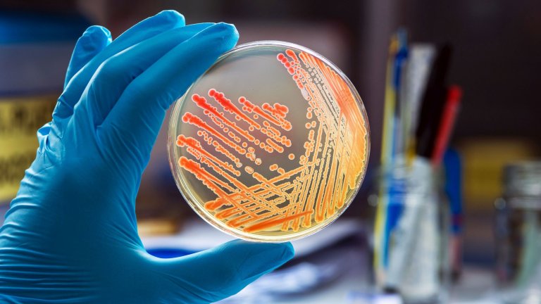 Hidden bacteria presents a substantial risk of antimicrobial resistant infection in hospital patients 