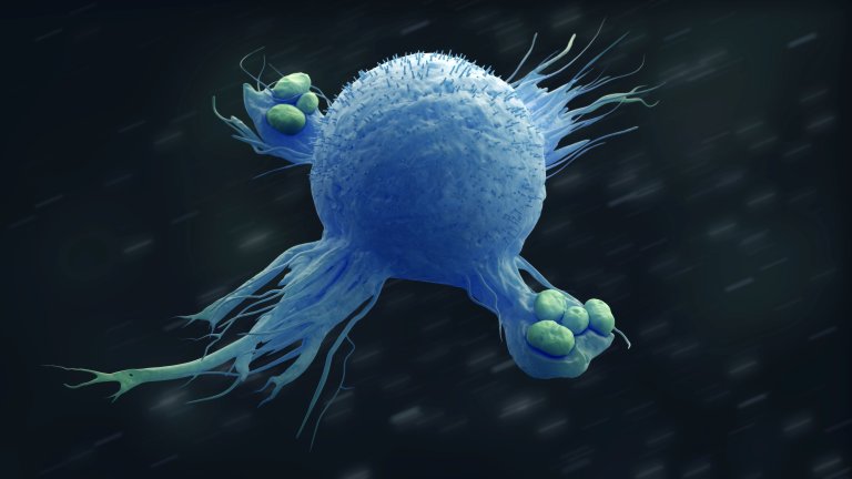 Study of a newfound immunometabolite in macrophages