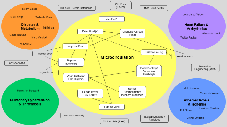 Overview of collaboration within the Microcirculation Research Program and with other ACS Research Programs. Lines represent ongoing collaboration between Microcirculation PI's. Asterisks indicate program leaders: Peter Hordijk and Jan Piek.