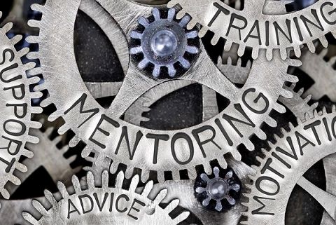 New call for the AMS mentorship program