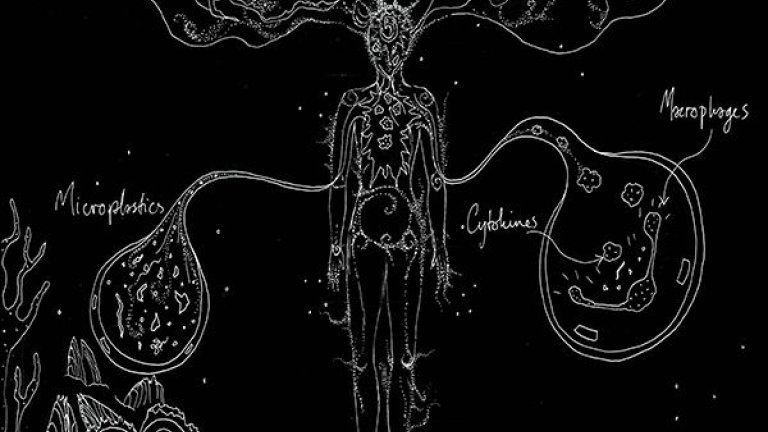 Wetenschappers en kunstenaars krijgen Bio Art & Design Award 2020 