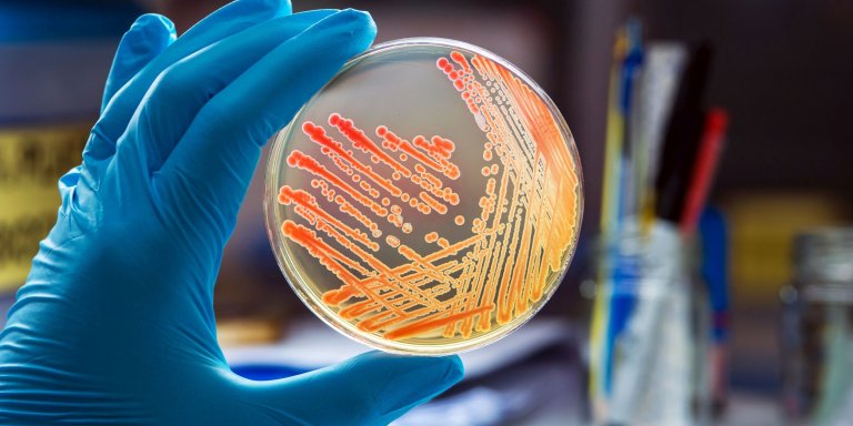 Hidden bacteria presents a substantial risk of antimicrobial resistant infection in hospital patients 