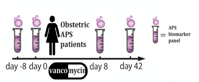 Study 2 APS - vancomycin