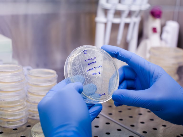 Reprogramming Immunity: A Cheaper, Faster Future for CAR-T Therapy?