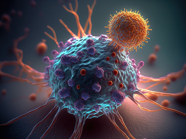 Unexpected finding: pancreatic cancer cells produce estrogen, offering a potential therapeutic target