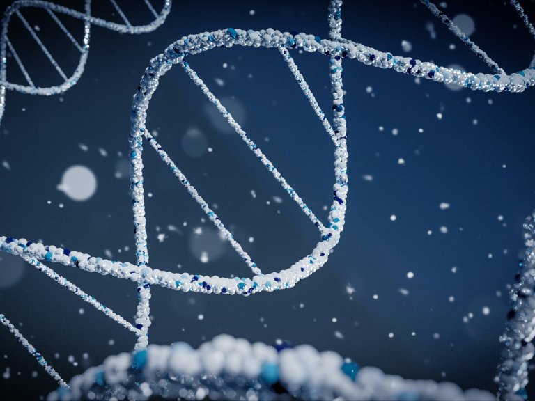 Off Road grant for MIDNIGHT Factory: using melatonin to make gene therapy production more efficient and affordable