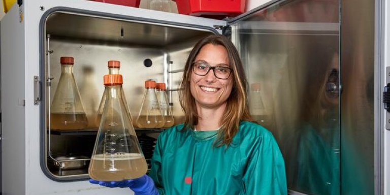 Krachtpatsers tegen corona