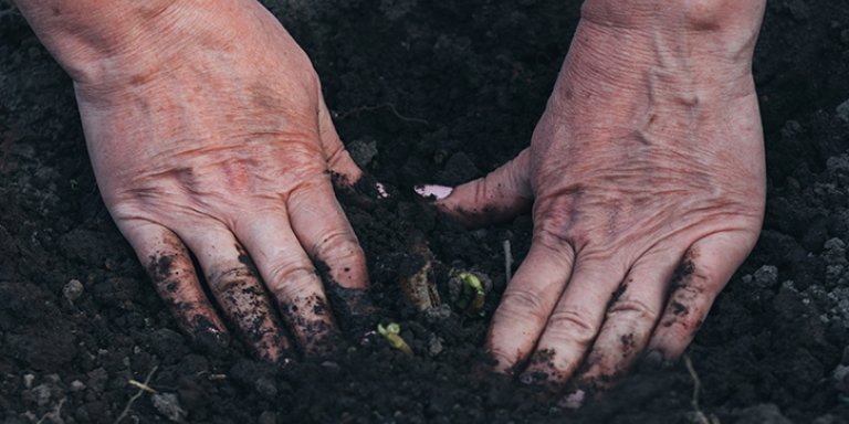 "Ziekte melioidose moet op lijst verwaarloosde tropische ziekten"