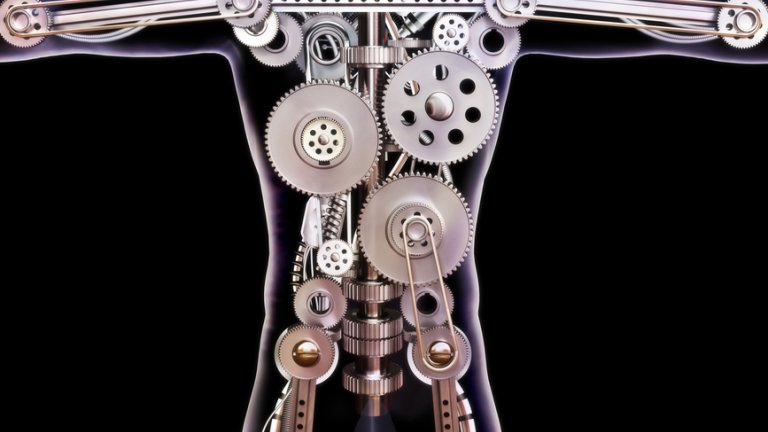 Cogs in the body