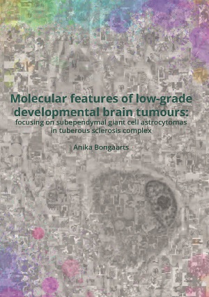 Thesis cover Anika Bongaarts