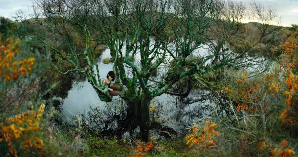 Langerak-Blauwe boom