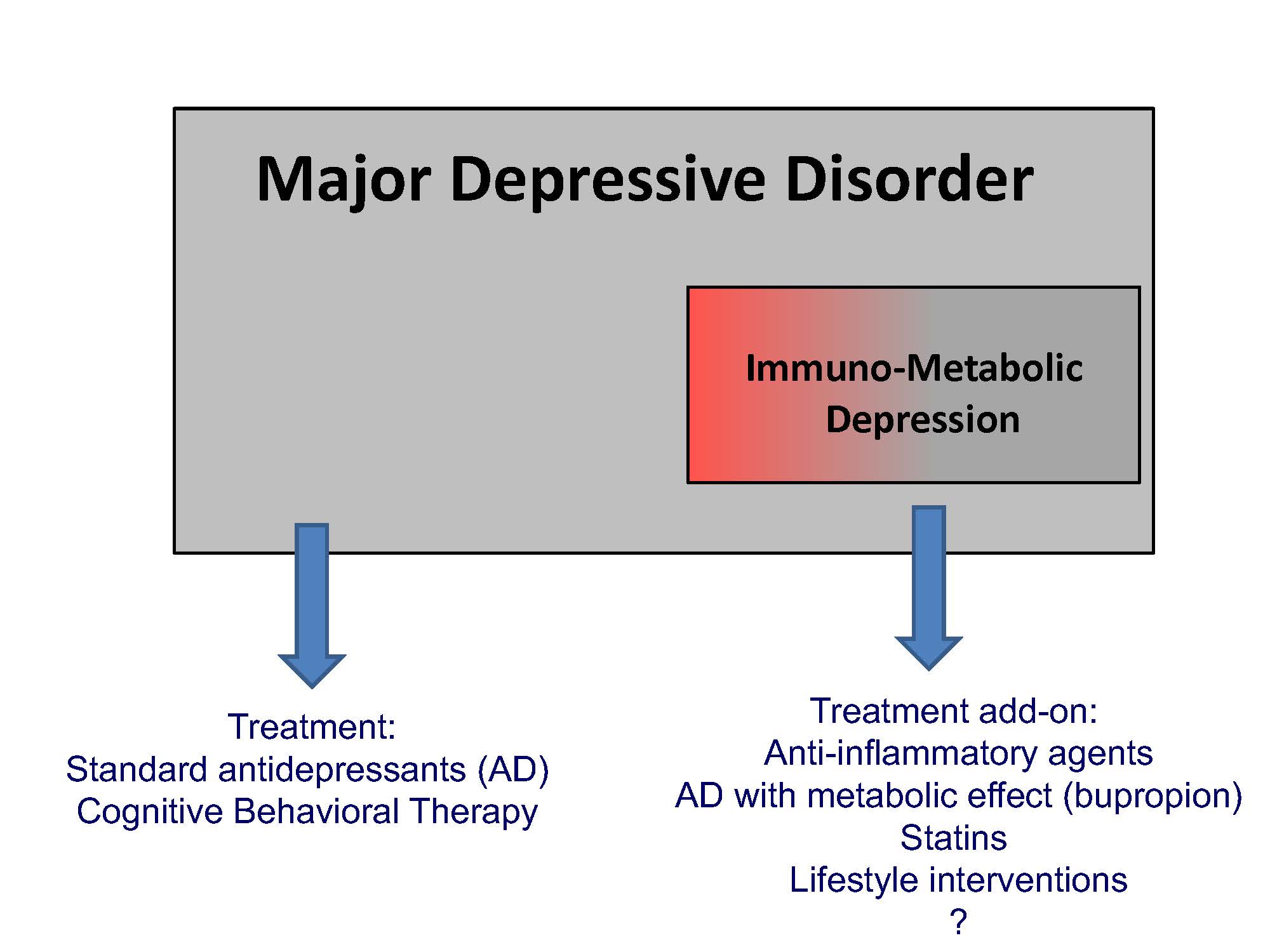  Illustration of the position of the immune-metabolic depression model within the major depressive disorder spectrum and potential treatment implications.