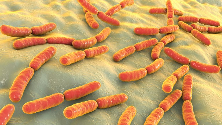 Bacteriën
