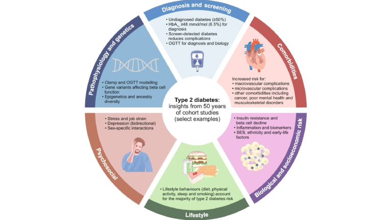 Diabetes research