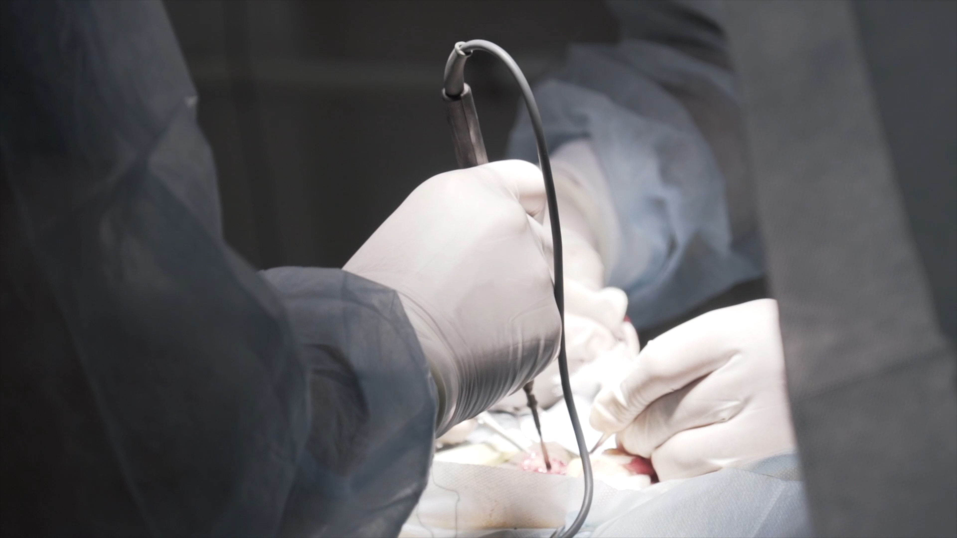 Genderchirurgie: Passende zorg voor een passend lichaam