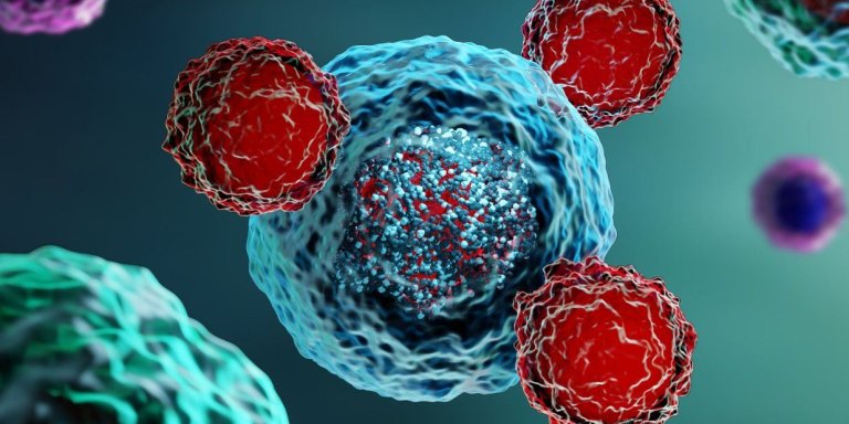 €14,6 miljoen voor onderzoek naar CAR-T-celtherapie voor ernstige auto-immuunziekten
