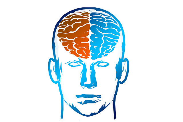Research into communication between brain hemispheres after stroke