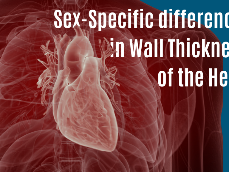 Sex-Specific differences in Wall Thickness of the Heart