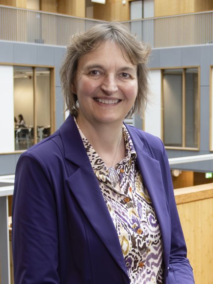 Prof. dr. ir. I. A. (Ingeborg) Brouwer, Vice Director