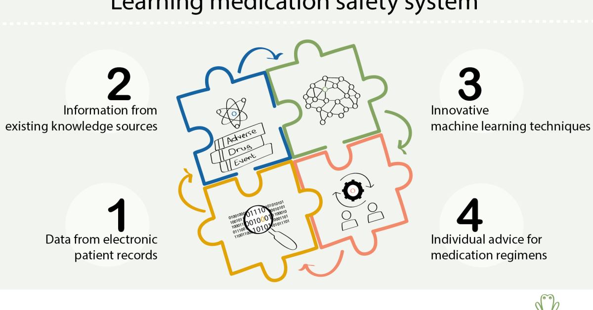 The LEAPfROG project creating a learning medication safety system in 4