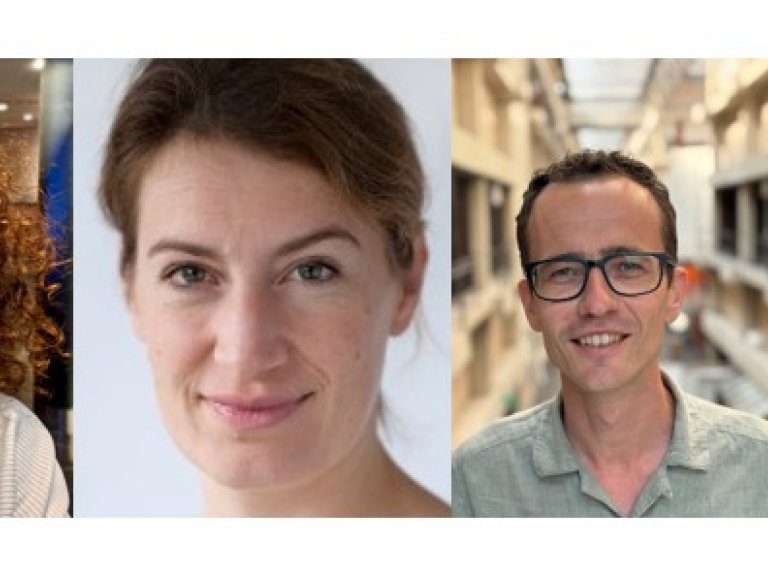 Vidi Grants Awarded to Four Researchers from the Amsterdam Institute for Immunology and Infectious Diseases