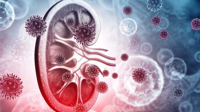 Booster vaccinations prove useful for people with transplanted kidney
