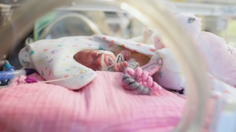 Foto: Marieke de Lorijn/Marsprine