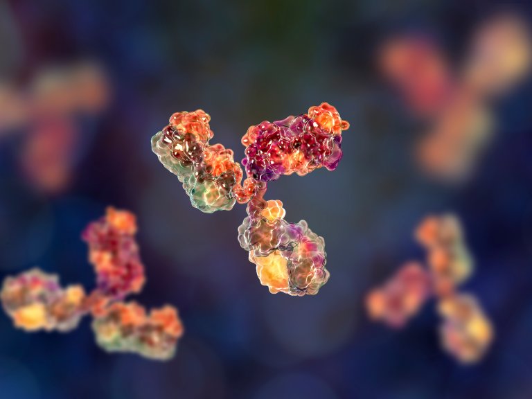 Transfer of IgG from Long COVID patients induces symptomology in mice