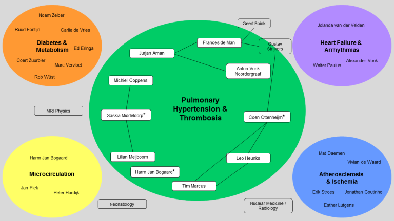 Overview of collaboration within the PH&T Research Program and withother ACS Research Programs. Lines represent ongoing collaboration between PH&T PI's. Asterisks indicate program leaders: Saskia Middeldorp, Harm Jan Bogaard and Coen Ottenheijm.