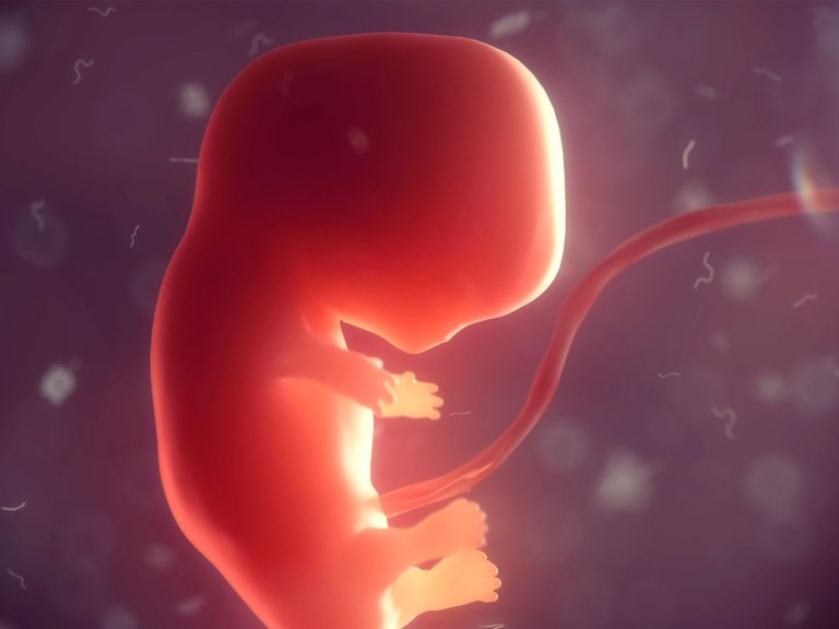 Fetal Biobank addresses parents' needs after pregnancy termination