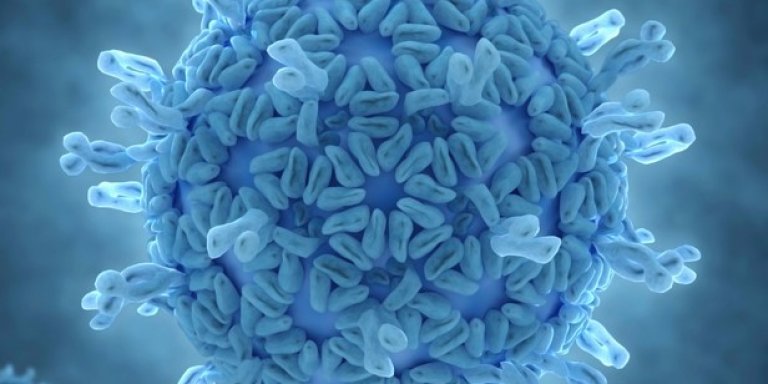 Vaccin rotavirus beschermt beter na antibiotica