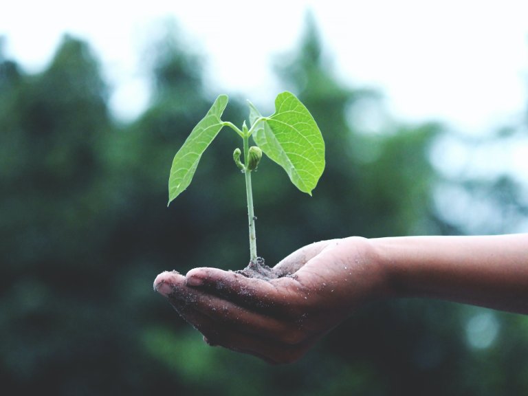 Rheumatology experts of Amsterdam UMC and Reade (a centre for rehabilitation and rheumatology) receive large grant for their study 'Plants for joints'