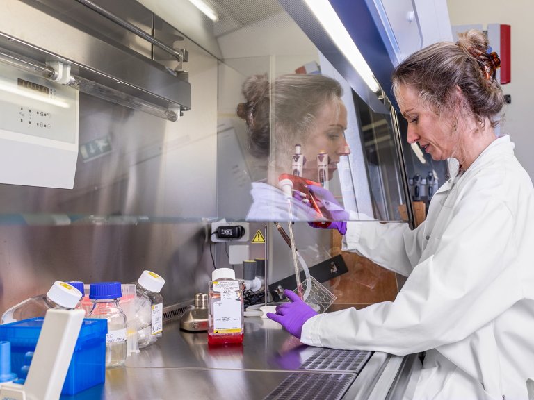 Vivi Heine on the potential of stem cell research 