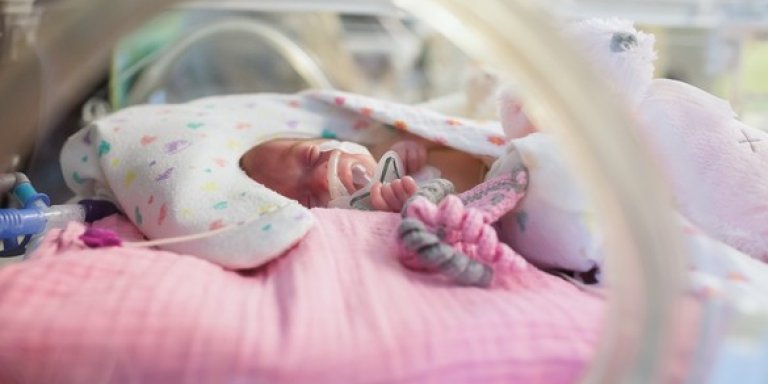 Oorzaak ernstige darmziekte bij neonaten op het spoor