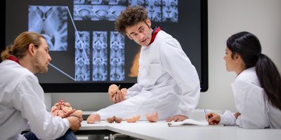 Ysbrand van der Werf educating two students on brain structures