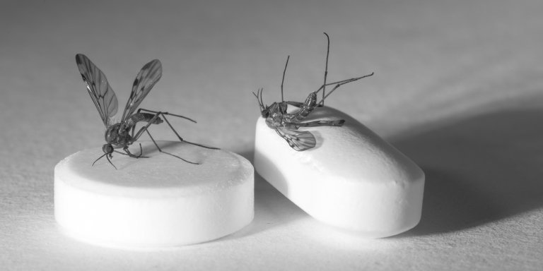 10 miljoen euro voor nieuw malariamiddel