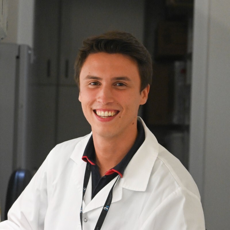 Henrique Nogueira Pinto 